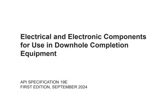 API SPEC 19E:2024 pdf download - Electrical and Electronic Components for use in Downhole Completion Equipment